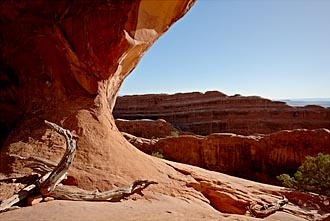 Partition Arch