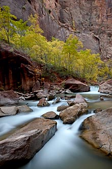 Cascades In Fall